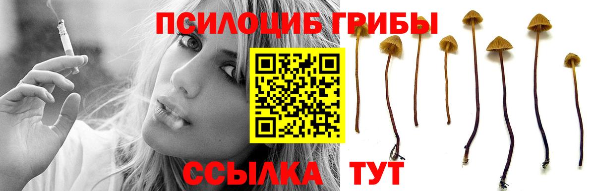 Псилоцибиновые грибы мухоморы  продажа наркотиков  Белорецк  Вход с VPN 